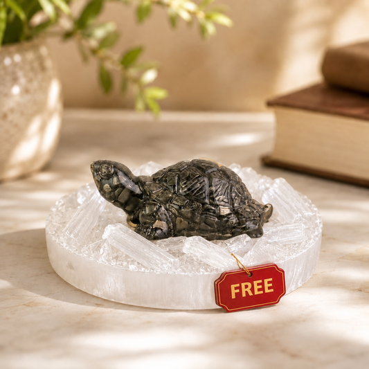 Dhan Vridhi | Vastu Pyrite Tortoise (Kachhua) + FREE Selenite Plate