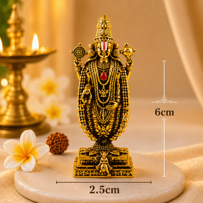 Gold Plated Lord Venkateswara Idol close-up view