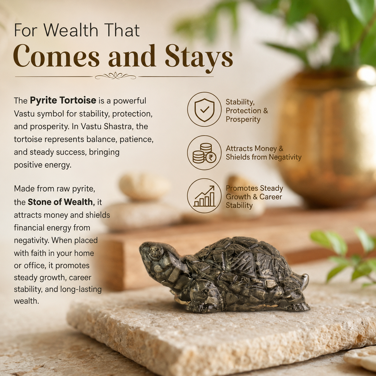 Dhan Vridhi | Vastu Pyrite Tortoise (Kachhua)